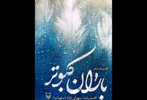 مجموعه‌شعر «باران کبوتر»‌ از محمدرضا سهرابی‌نژاد منتشر شد