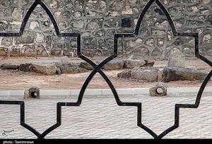 صلح امام حسن (ع) با معاویه؛ حکمت یک تصمیم تاریخی
