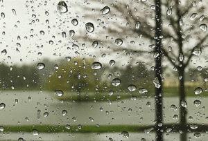 کاهش نسبی دما در شمال کشور از فردا؛ بارش باران و وزش باد شدید پیش‌بینی می‌شود