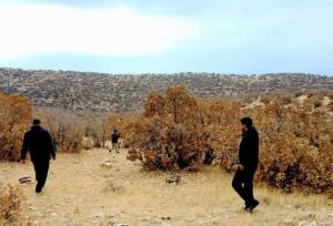 تخریب ۱۱ کوره زغال و کشف سه تن چوب بلوط در فیروزآباد