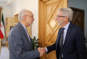 سفیر فرانسه با رئیس بنیاد ایران‌شناسی دیدار کرد