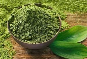 کارگاه حناسایی دلگان؛ پیوند سنت و اشتغال