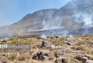 تشکیل ۱۰ پرونده قضایی در ارتباط با آتش سوزی های جنگل‌های ایلام