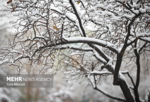 بارش برف در روستای امامزاده ابراهیم(ع) شفت