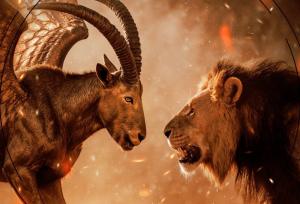 پوستر تماشایی رفسنجانی‌ها برای دیدار با پرسپولیس