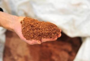 خراسان جنوبی دارای ظرفیت‌های معدنی غنی اما توسعه‌ نیافته