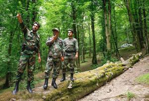 شریعتی: حقوق معوقه قرقبانان جنگل‌های هیرکانی پرداخت می‌شود