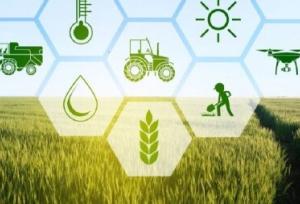 توسعه بیمه اجتماعی کشاورزان و روستائیان چتر حمایتی صندوق را در بانه گسترده‌تر می‌کند