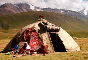 ۱۲هزار خانوارعشایری کهگیلویه‌وبویراحمد نیازمند علوفه دام و پنل خورشیدی