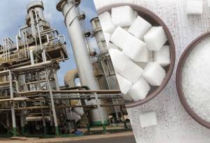 توضیحات سازمان غذا و دارو درباره تولید قند و شکر