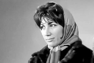 فروغ صراحت و سادگی را وارد حوزه زبان کرد