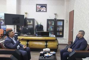 دهکده تندرستی تحولی بزرگ در ارتقای سلامت اجتماعی کرمان ایجاد می کند