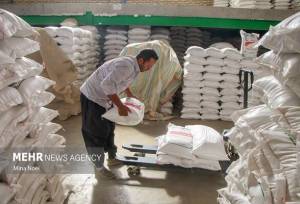 گرانفروشی ۱۴ تن برنج در کهگیلویه؛ جریمه ۱۲ میلیارد ریالی برای متخلف