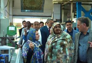 اصفهان و آفریقا تبادل دانش می‌کنند