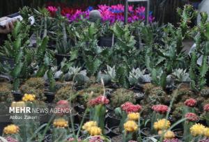 شهرداری ملارد با گلخانه‌های داخلی، نشاط شهری را افزایش داد
