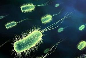 هشدار جهانی درباره شیوع وبا؛ جان هزاران نفر در خطر است