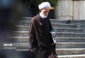 تعامل دولت با مجلس برای رسیدن لایحه خشونت علیه زنان