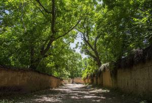 افزایش ۲۰ درصدی محصولات باغی در فارسان