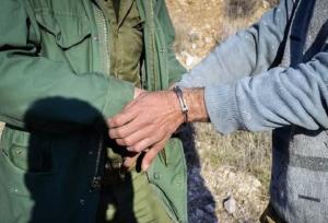 دو شکارچی زنده‌گیر پرندگان شکاری در جاسک دستگیر شدند