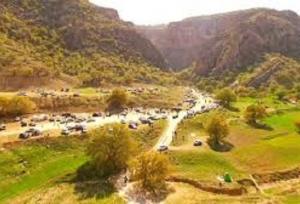 مدیرکل محیط زیست استان ایلام: «دینارکوه»؛ پناهگاه حیات‌وحش و گونه‌های نادر گیاهی است