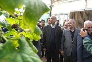 استاندار کرمانشاه از واحد دانش‌بنیان نهال‌کاری بازدید کرد