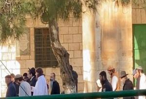 ورود دهها شهرک نشین به مسجدالاقصی