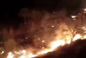 مراتع شهرستان دشتستان دچار حریق شد