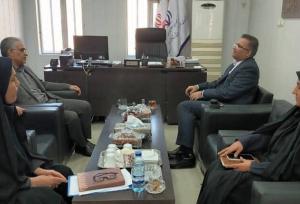 ابراهیمی: فعالان تبلیغاتی بوشهر مطابق با استانداردها گام برمی‌دارند