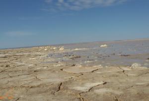 هیرمند؛ گرد و خاک «بدعهدی افغان ها» در جنوب شرق ایران
