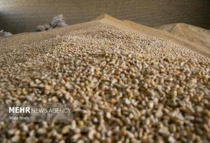 تحقیق و تفحص مسیر اصلاحات در زنجیره تأمین نهاده‌ها را هموار می‌کند