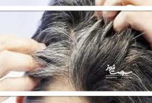 بازگشت رنگ موها پس از سفیدی