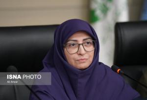 رئیس سازمان حفاظت محیط زیست: محیط زیست باید به عنوان محور توسعه شناخته شود