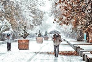 هواشناسی ایران۱۴۰۳/۱۲/۱۹؛بارش برف و باران در ۲۹ استان