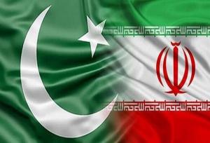 وزیر کشور پاکستان وارد تهران شد