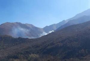 آتش‌سوزی در جنگل‌های دراکینگ چالوس