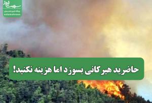 حاضرید هیرکانی بسوزد اما هزینه نکنید!