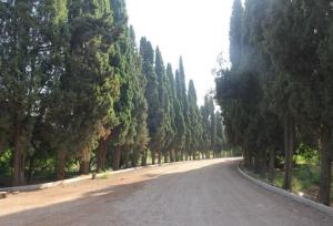 باغ سه‌گوش‌ نماد تازه زیست فرهنگی و سبز شیراز می‌شود