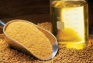 آغاز ثبت سفارش جدید واردات روغن خام از فردا