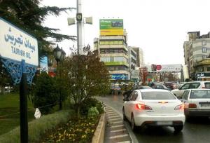 نگرانی از «تخریب فضای سبز» در تجریش؛ شهرداری:آسیب به درختان نمی رسد