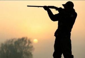 لاشه قوچ وحشی در پرور کشف شد؛ تلاش برای دستگیری شکارچیان