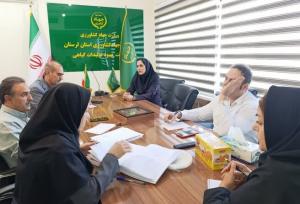 ۵۱ مزرعه تحقیقاتی لرستان به طرح تولید پایدار گندم و جو اختصاص یافت