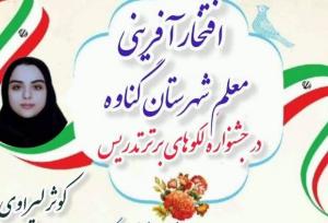 معلم گناوه‌ای رتبه دوم کشوری جشنواره الگوهای برتر تدریس را کسب کرد