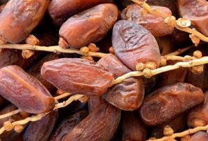ظرفیت یک میلیارد دلاری صادرات خرما