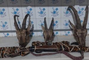 موسوی: سه شکارچی متخلف در اردکان دستگیر شدند