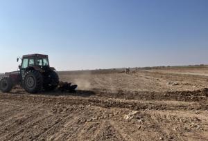 اجرای مزرعه PVS گندم با هدف تعیین بهترین ارقام کشت در سمنان