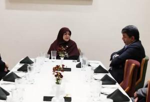 سخنگوی دولت با استقبال استاندار وارد کرمان شد