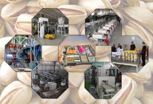 ۱۸۰ طرح صنایع تبدیلی و غذایی در دهه فجر به بهره‌برداری می‌رسد