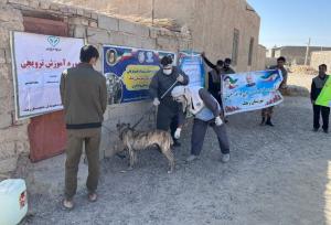 افزایش ۸۸ درصدی پوشش واکسیناسیون هاری در سیستان و بلوچستان