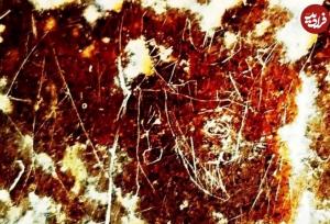 کشف تصویر باستانی «شاه ساسانی» در مرودشت