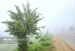 مه گرفتگی شدید در برخی از محورهای مواصلاتی استان ایلام